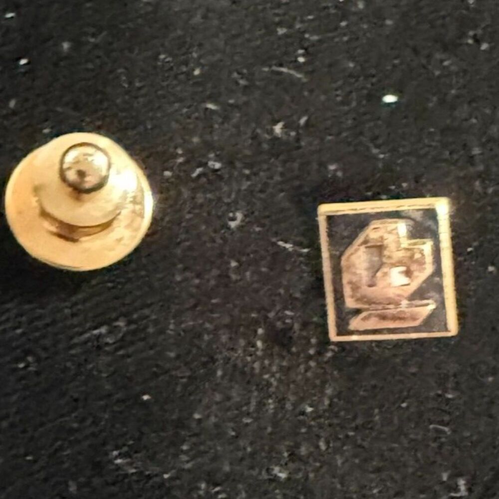 Black enamel and 1/10 10K gold lapel pin